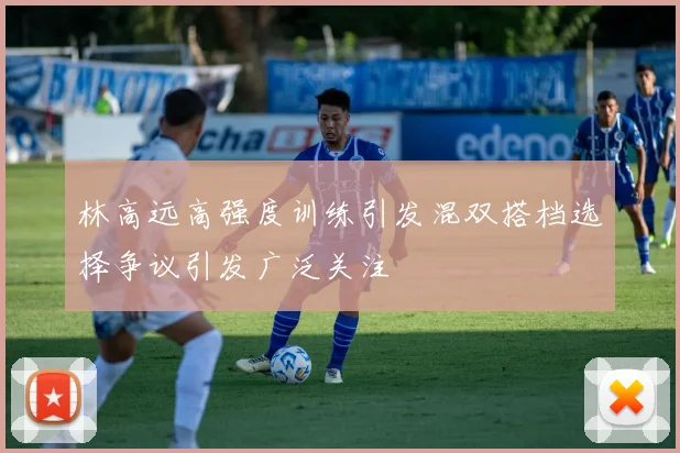 林高远高强度训练引发混双搭档选择争议引发广泛关注