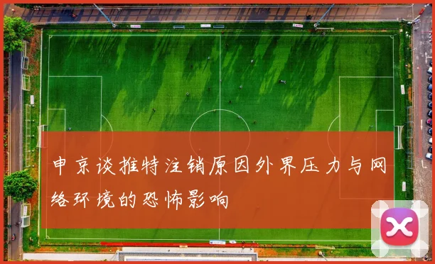 申京谈推特注销原因外界压力与网络环境的恐怖影响